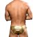 Photo5: [Andrew Christian] UNLEASHED Golden Buckle Bikini w/ ALMOST NAKED