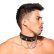 Photo3: [Andrew Christian] TROPHY BOY? CHAIN CHOKER (3)