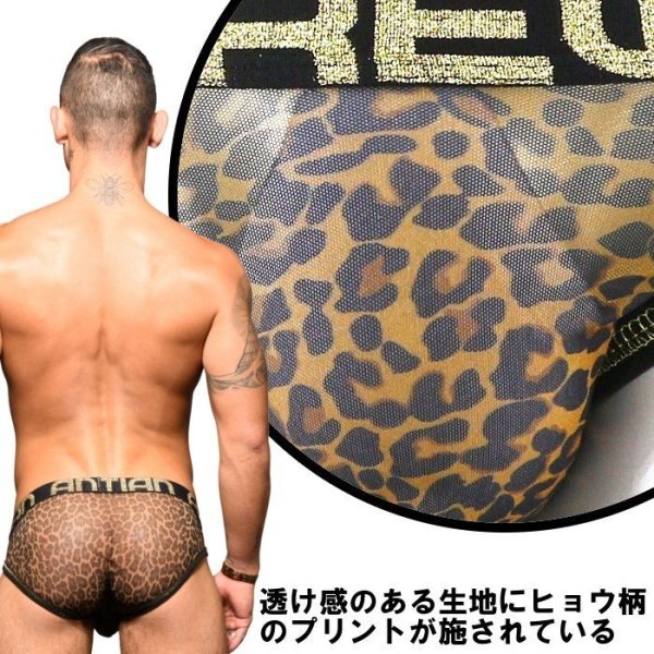 Photo6: [Andrew Christian] Sheer Leopard Almost Naked Mesh Brief