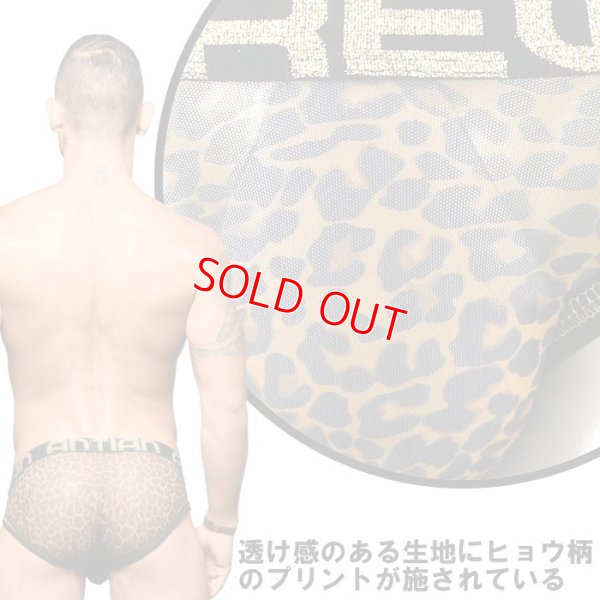 Photo6: [Andrew Christian] Sheer Leopard Almost Naked Mesh Brief