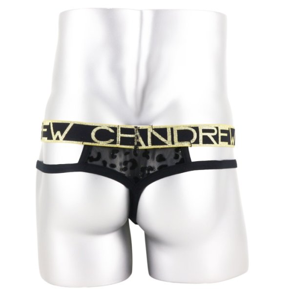 Photo5: [Andrew Christian] Sparkle Sheer Leopard Thong w/ ALMOST NAKED?