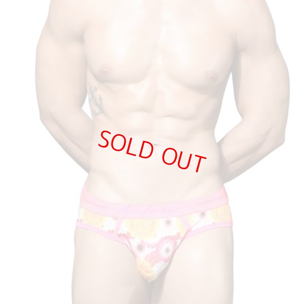 Photo2: [Andrew Christian] Botanical ECO Gerber Brief w/ ALMOST NAKED