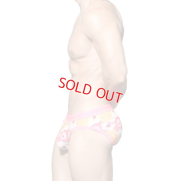 Photo3: [Andrew Christian] Botanical ECO Gerber Brief w/ ALMOST NAKED