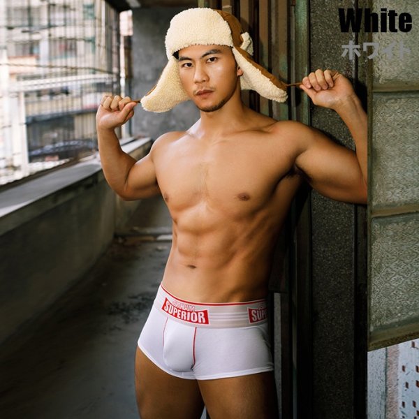 Photo2: [AsianBum] Sporty Cotton Boxer Brief