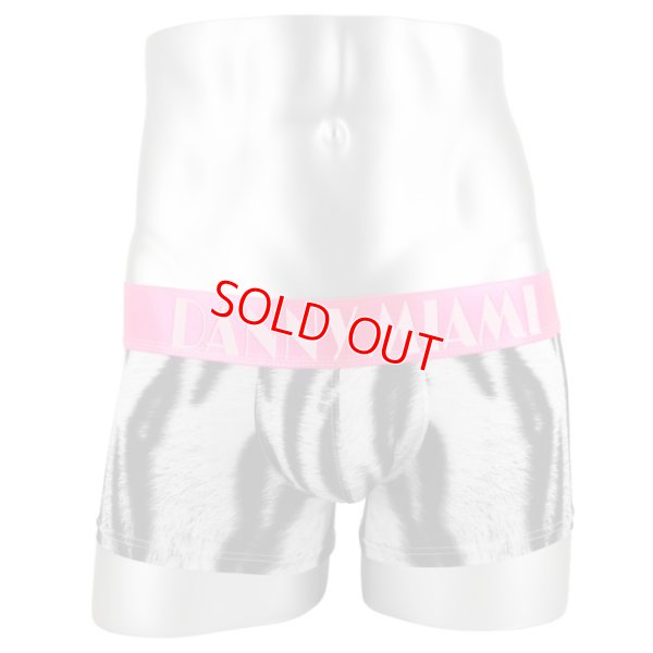 Photo4: [Danny Miami] BENGAL BOXER