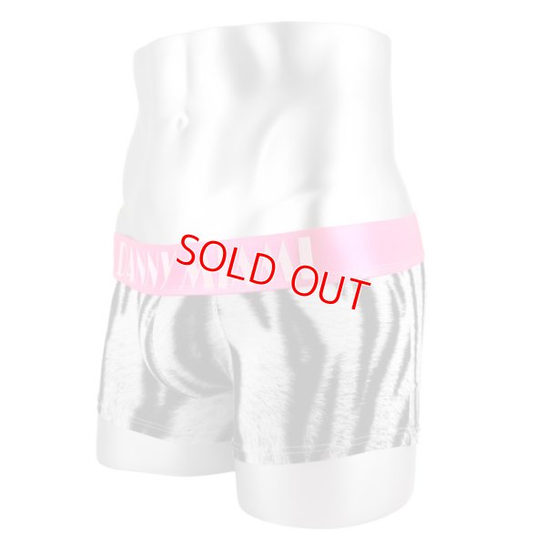 Photo6: [Danny Miami] BENGAL BOXER