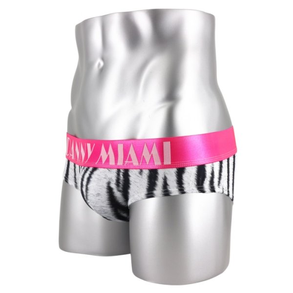 Photo5: [Danny Miami] BENGAL BRIEF