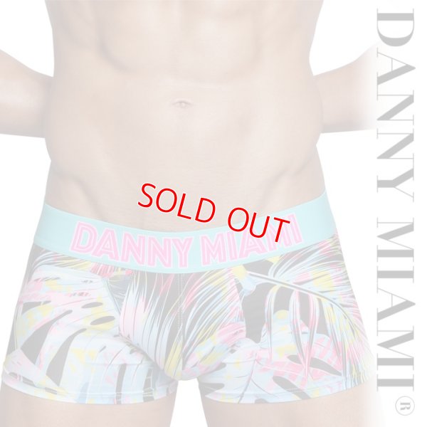 Photo1: [Danny Miami] TWIST BOXER