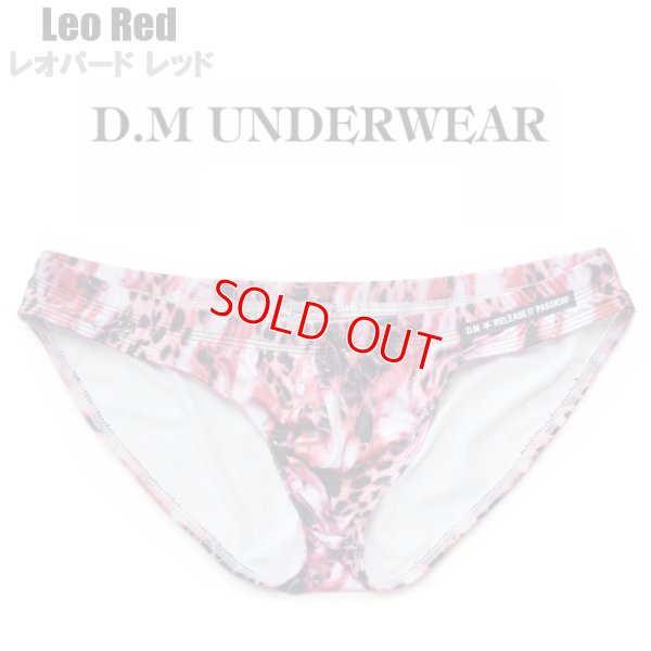 dm3048_leored02.jpg