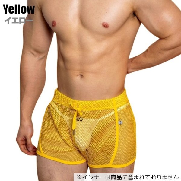 dm6005_yellow02.jpg