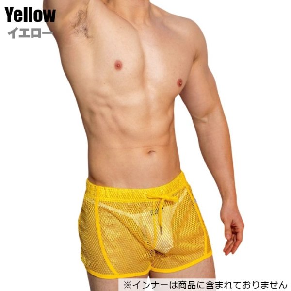 dm6005_yellow03.jpg