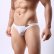 Photo10: Men's Bikini Mesh Lace See Through Bikini