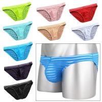 Men's Bikini Stripe Mesh See Through Bikini