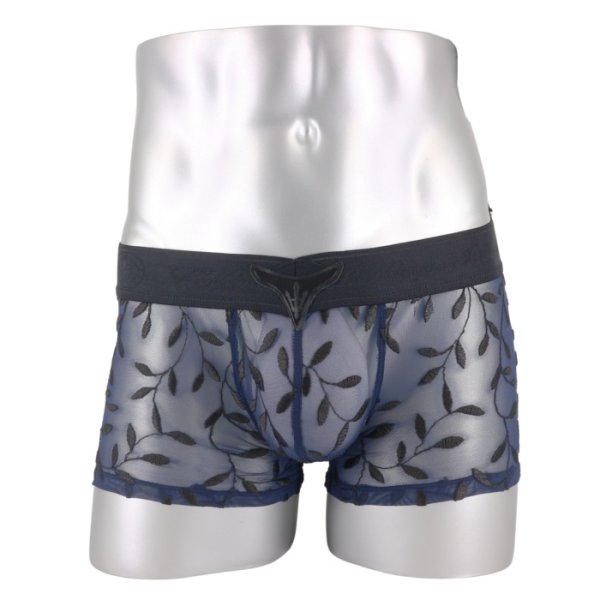 Photo3: [L'Homme Invisible] POISON IVY Push-Up Vboxer
