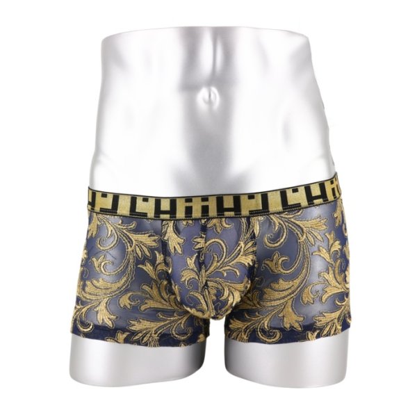 Photo6: [L'Homme Invisible] OPPULENCE ASSUM?E V Boxer Push-Up