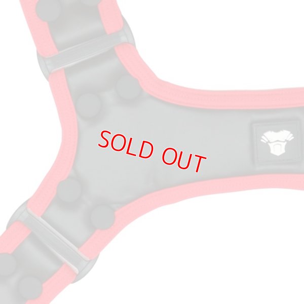 Photo15: [Maskulo] Youngero Generation Y. Harness