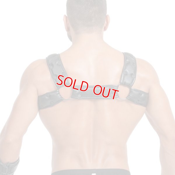 Photo13: ARMORED BULLDOG HARNESS WITH C-RING PUSH-UP EFFECT