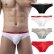 Photo1: [Sugoidan] Lowrise Cotton Brief (1)