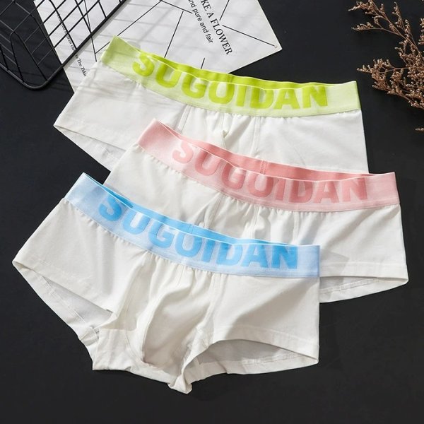 Photo2: Men's Pastel Colors Cotton Boxer Brief