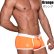 Photo5: [TOF Paris] NEON SWIM TRUNKS