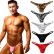 Photo1: U.M. Men's Ultra Tiny Animal Pattern & Mesh Fabric Bikini (1)