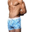 Photo3: [Andrew Christian] HOLIDAY SWIM SHORTS (3)