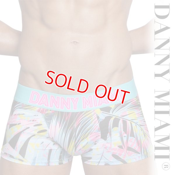 Photo1: [Danny Miami] TWIST BOXER (1)