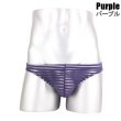 Photo12: Men's Bikini Stripe Mesh See Through Bikini (12)