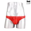 Photo14: Men's Bikini Stripe Mesh See Through Bikini (14)