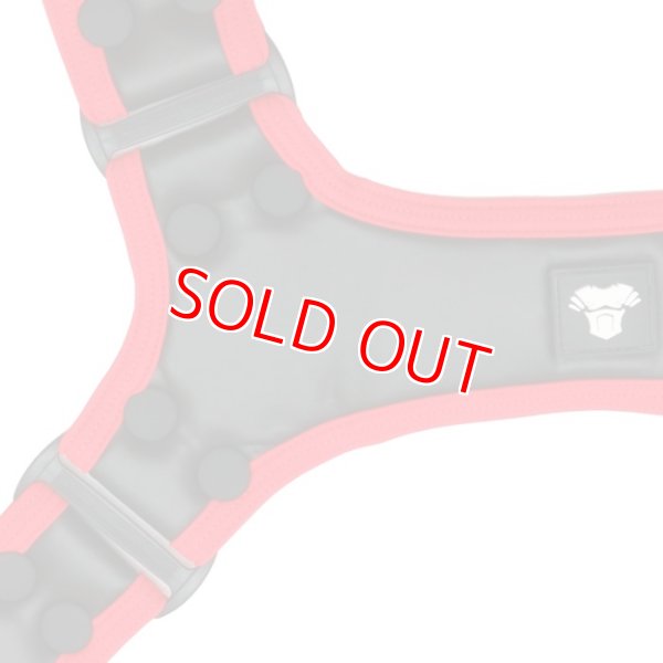 Photo15: [Maskulo] Youngero Generation Y. Harness (15)