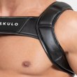 Photo15: ARMORED BULLDOG HARNESS WITH 3D LOGO (15)