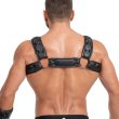 Photo13: ARMORED BULLDOG HARNESS WITH C-RING PUSH-UP EFFECT (13)