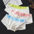 Photo2: Men's Pastel Colors Cotton Boxer Brief (2)