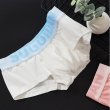 Photo5: Men's Pastel Colors Cotton Boxer Brief (5)
