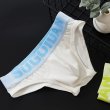 Photo4: Men's Pastel Colors Cotton Brief (4)