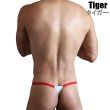 Photo11: U.M. Men's Camouflage Ultra Tiny Thong (11)