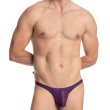 Photo6: [L'Homme Invisible] Heliotrope - Thong Bikini (6)