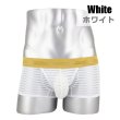 Photo10: Men's Stripe Mesh See-through Boxer Brief (10)